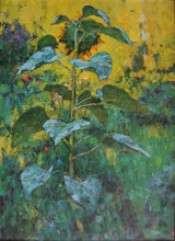 Sunflower - oil, canvas